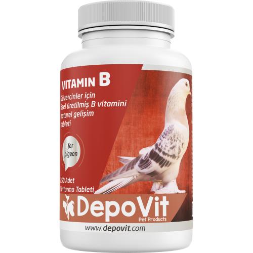 Depovit B Vitamin Kompleksi